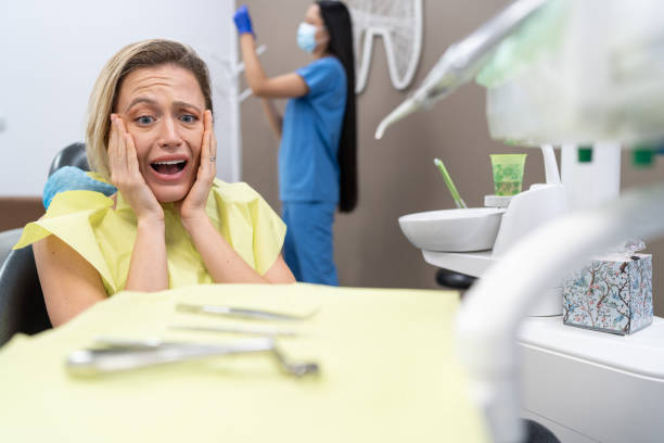 Best Emergency Dental Services for Seniors in Lutz, FL